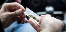 marihuana bogata THC-om i redovita upotreba značajno produžuju vrijeme detekcije