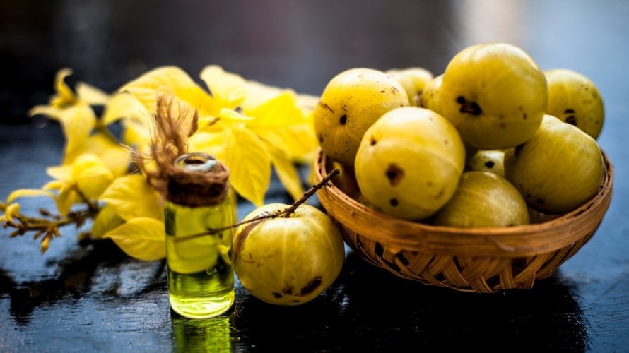 Biljni eliksiri i ayurvedske preporuke za borbu protiv anemije