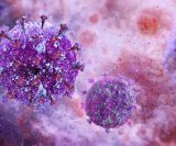 HIV-1 potječe od čimpanzi i gorila zapadne Afrike, dok je HIV-2 preskočio na ljude s majmuna mangabeja