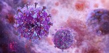 HIV-1 potječe od čimpanzi i gorila zapadne Afrike, dok je HIV-2 preskočio na ljude s majmuna mangabeja