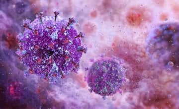 HIV-1 potječe od čimpanzi i gorila zapadne Afrike, dok je HIV-2 preskočio na ljude s majmuna mangabeja