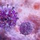 HIV-1 potječe od čimpanzi i gorila zapadne Afrike, dok je HIV-2 preskočio na ljude s majmuna mangabeja
