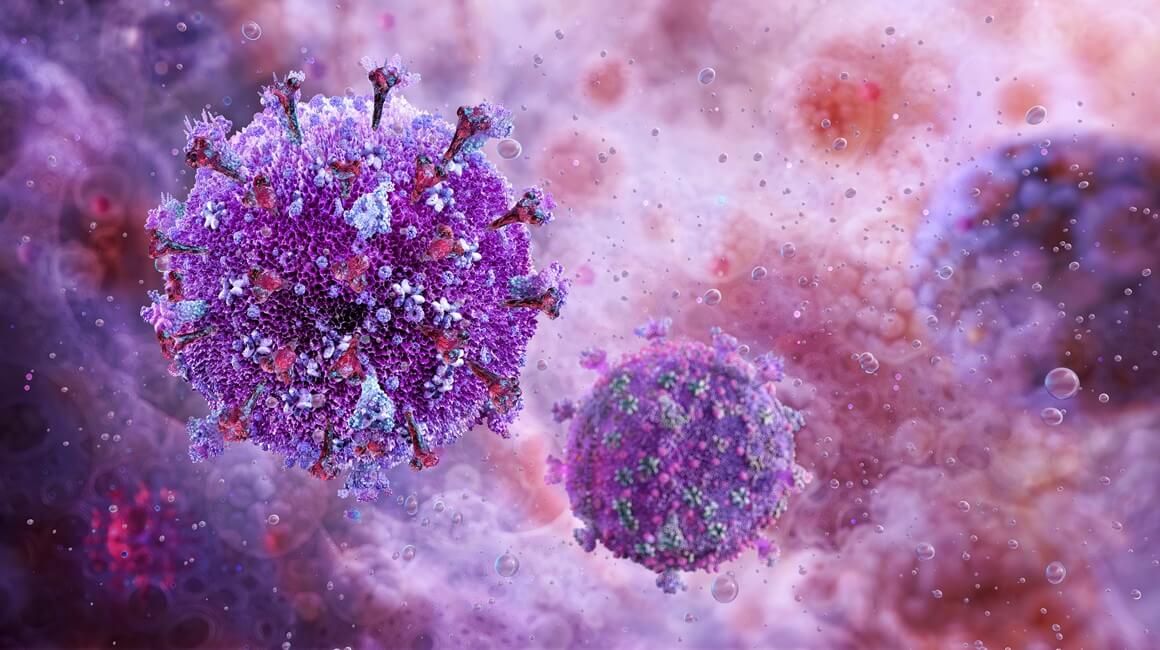 HIV-1 potječe od čimpanzi i gorila zapadne Afrike, dok je HIV-2 preskočio na ljude s majmuna mangabeja