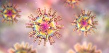 HSV-1 - češće uzrokuje oralni herpes, ali može izazvati i genitalne simptome