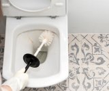 Ružičasti tragovi u WC školjci rezultat su bakterije Serratia marcescens koja voli vlagu