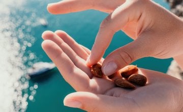 Bademi su odličan izvor zdravih masti, vitamina E, magnezija i proteina
