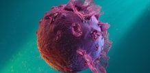 Epstein-Barr virus