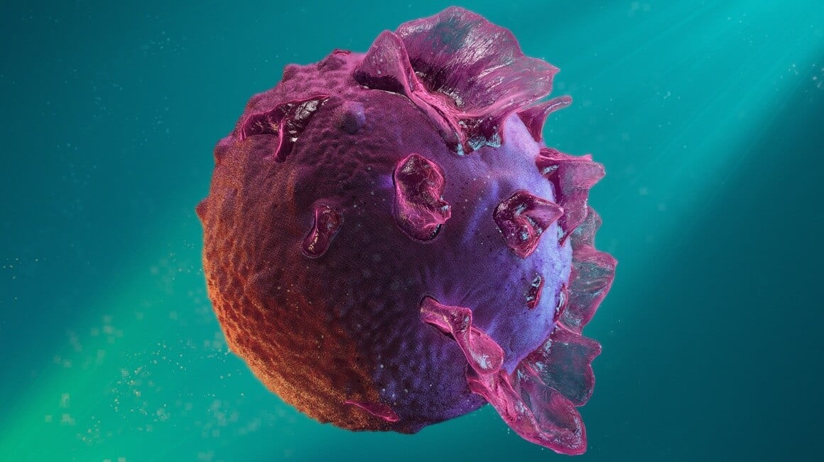 Epstein-Barr virus
