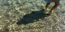 Hodanje u vodi spada u niskoutjecajne kardio aktivnosti