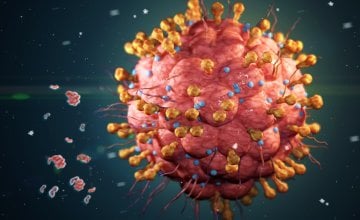 Znanstvenici pokušavaju pretvoriti virus herpesa u snažno oružje protiv uznapredovalog melanoma