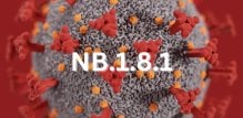 nova COVID-19 varijanta je poznata kao Nimbus (NB.1.8.1)