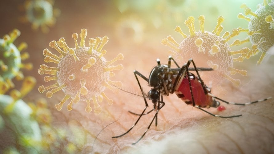 Čikungunja virus