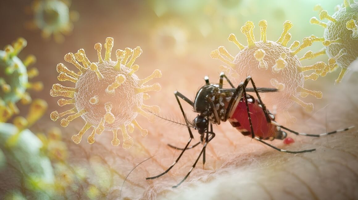 Čikungunja virus