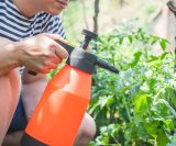 Prirodni pesticidi za vrt