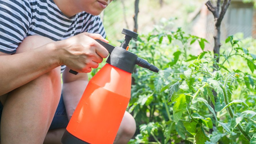 Prirodni pesticidi za vrt