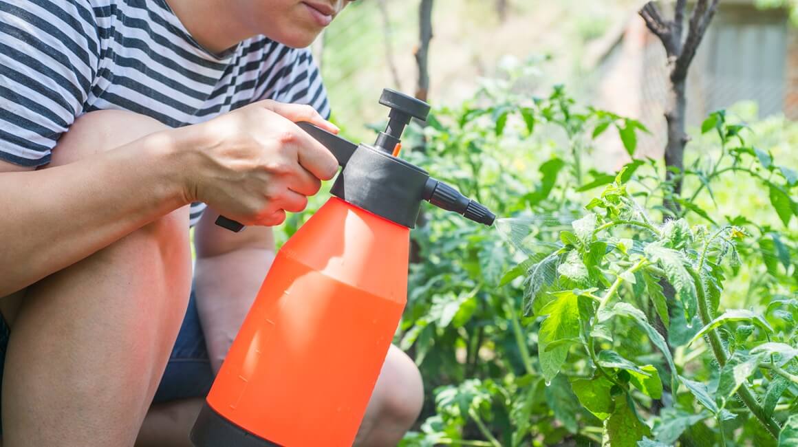 Prirodni pesticidi za vrt