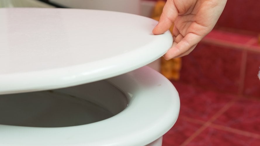 pogled u WC školjku zapravo pruža puno više informacija