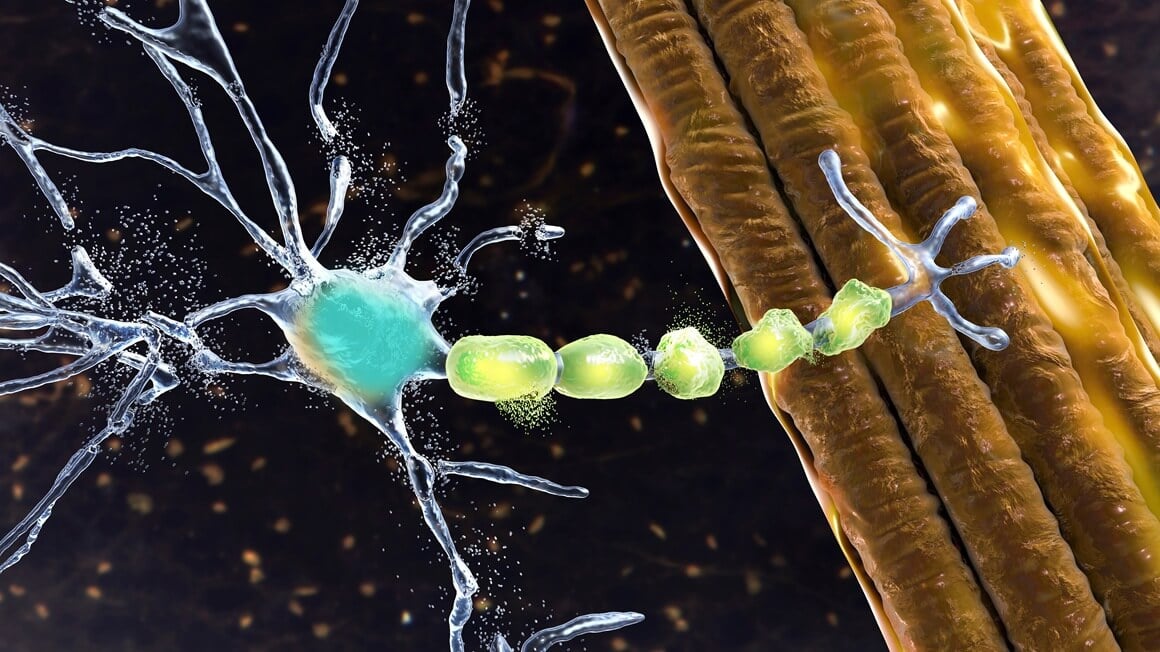 ALS je neurodegenerativna bolest kod koje živčane stanice s vremenom odumiru