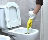 Čišćenje WC-a nije samo pitanje estetike - pravilna higijena može spriječiti širenje infekcija i alergija