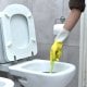 Čišćenje WC-a nije samo pitanje estetike - pravilna higijena može spriječiti širenje infekcija i alergija