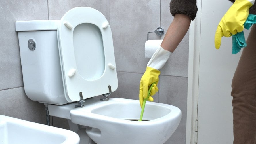 Čišćenje WC-a nije samo pitanje estetike - pravilna higijena može spriječiti širenje infekcija i alergija