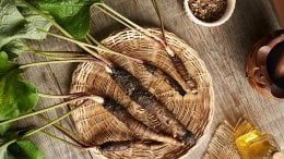 Korijen čička sadrži kombinaciju različitih bioaktivnih spojeva