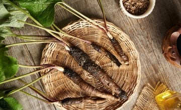 Korijen čička sadrži kombinaciju različitih bioaktivnih spojeva