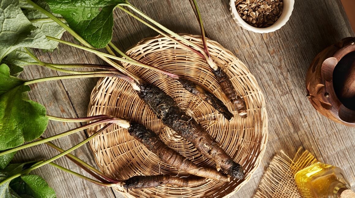 Korijen čička sadrži kombinaciju različitih bioaktivnih spojeva