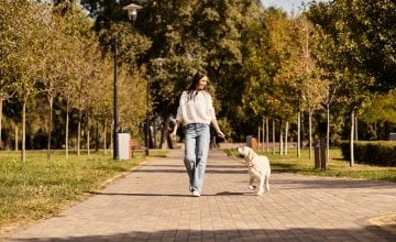 Što se događa s vašim tijelom kada prošetate popodne
