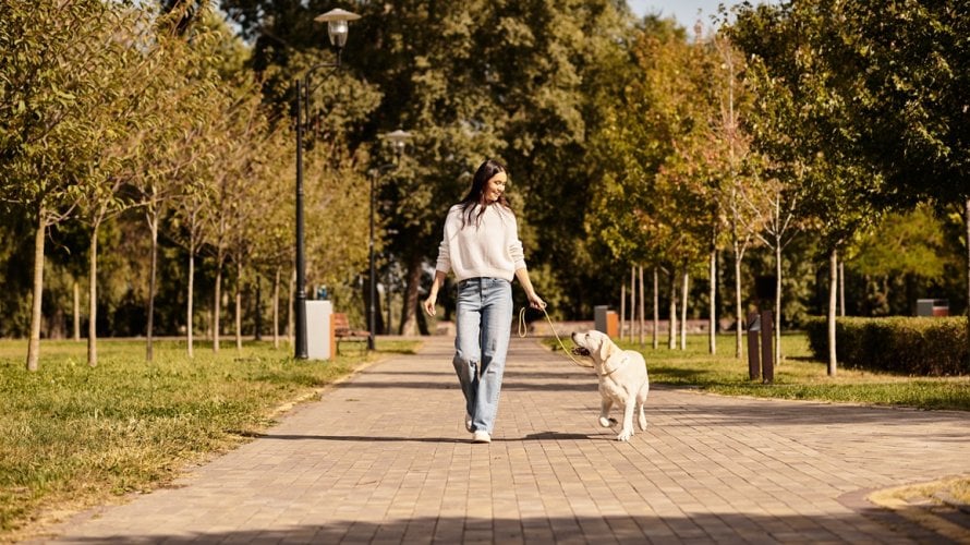 Što se događa s vašim tijelom kada prošetate popodne