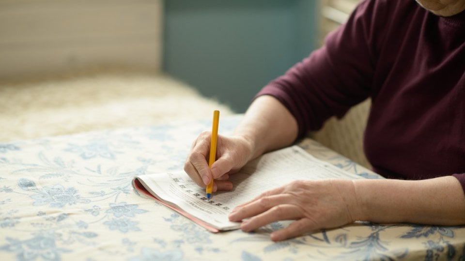 igre za mozak, poput križaljki, sudoku zagonetki ili računalnih aplikacija za treniranje mozga, postale su vrlo popularne