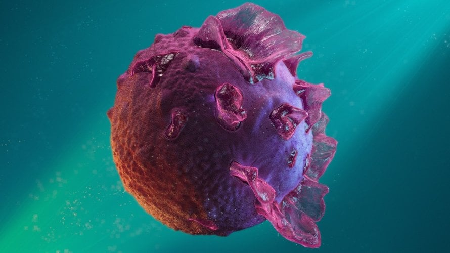 Epstein-Barr virus