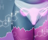 Estrogen i progesteron
