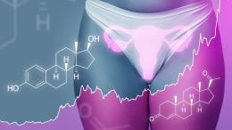 Estrogen i progesteron