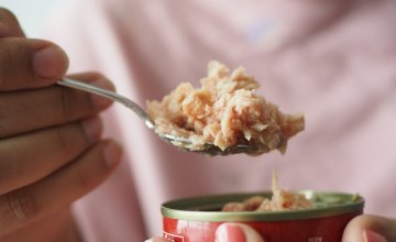 Hrana bogata kreatinom