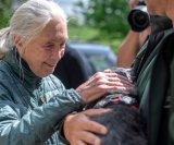 Jane Goodall