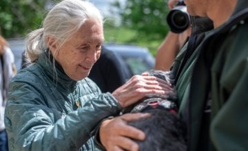 Jane Goodall