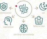 Kad je probava zdrava, i mi smo u ravnoteži Donat okupio Zagrepčane na događaju o zdravlju
