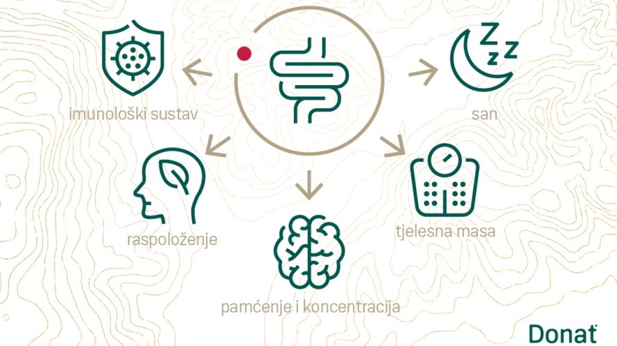 Kad je probava zdrava, i mi smo u ravnoteži Donat okupio Zagrepčane na događaju o zdravlju