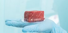 Laboratorijsko meso, poznato i kao kultivirano meso, proizvodi se uzgojem životinjskih stanica u kontroliranim uvjetima