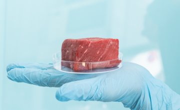 Laboratorijsko meso, poznato i kao kultivirano meso, proizvodi se uzgojem životinjskih stanica u kontroliranim uvjetima