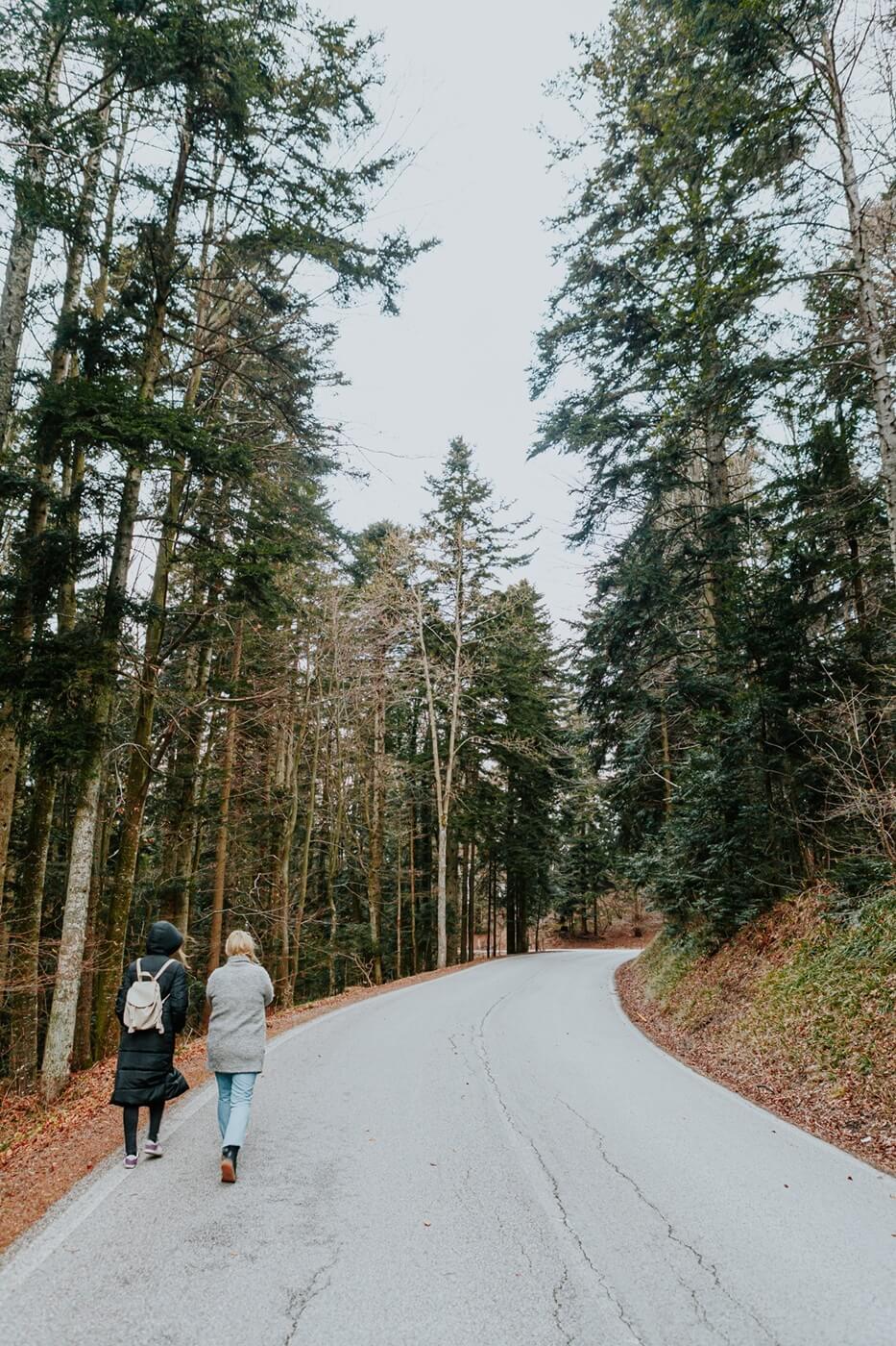 Park prirode Medvednica savršen je izbor za brzi bijeg iz grada