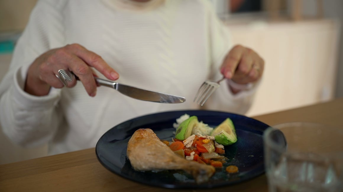 Piletina je klasičan i lako dostupni izvor proteina