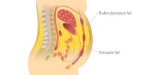 Smanjenje visceralne masnoće povezano je s boljom osjetljivošću na inzulin i nižim rizikom od dijabetesa i srčanih bolesti