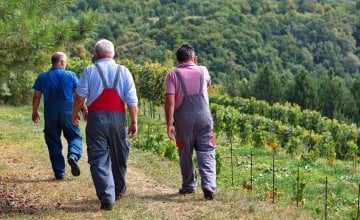 dugotrajna izloženost visokim temperaturama i kemikalijama može ozbiljno utjecati na zdravlje bubrega