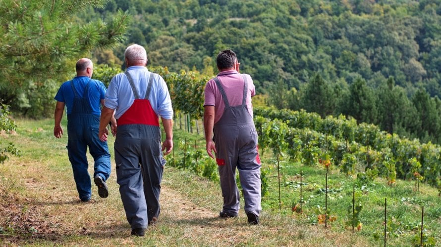 dugotrajna izloženost visokim temperaturama i kemikalijama može ozbiljno utjecati na zdravlje bubrega