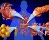 sindrom kardiovaskularno-bubrežno-metaboličkog sustava (CKM)