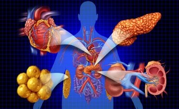 sindrom kardiovaskularno-bubrežno-metaboličkog sustava (CKM)