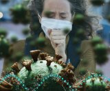 Koliko je korona u organizmu