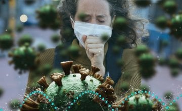 Koliko je korona u organizmu